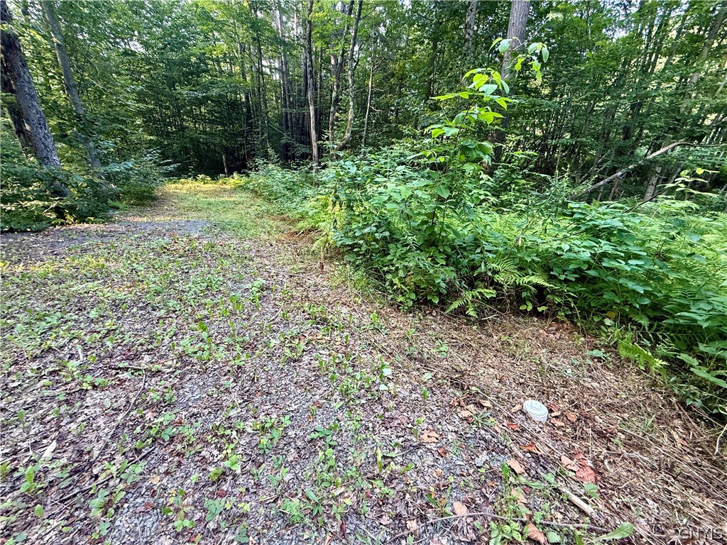 11470 River Road Florence, NY 13316 - Photo 7 of 13 Septic