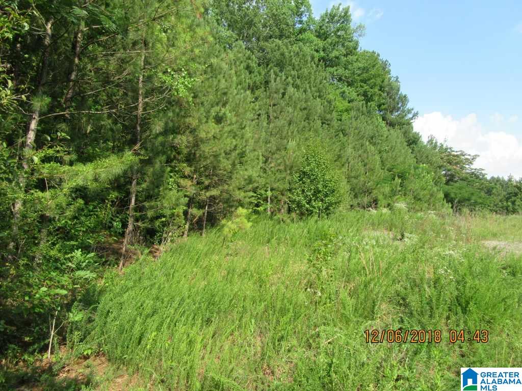 0 Cedar Bend Road Gadsden, AL 35907 - Photo 21 of 28