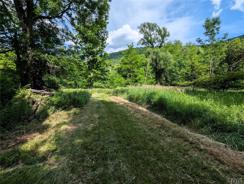 5430 Meads Creek Road Campbell, NY 14870 - Photo 36 of 48