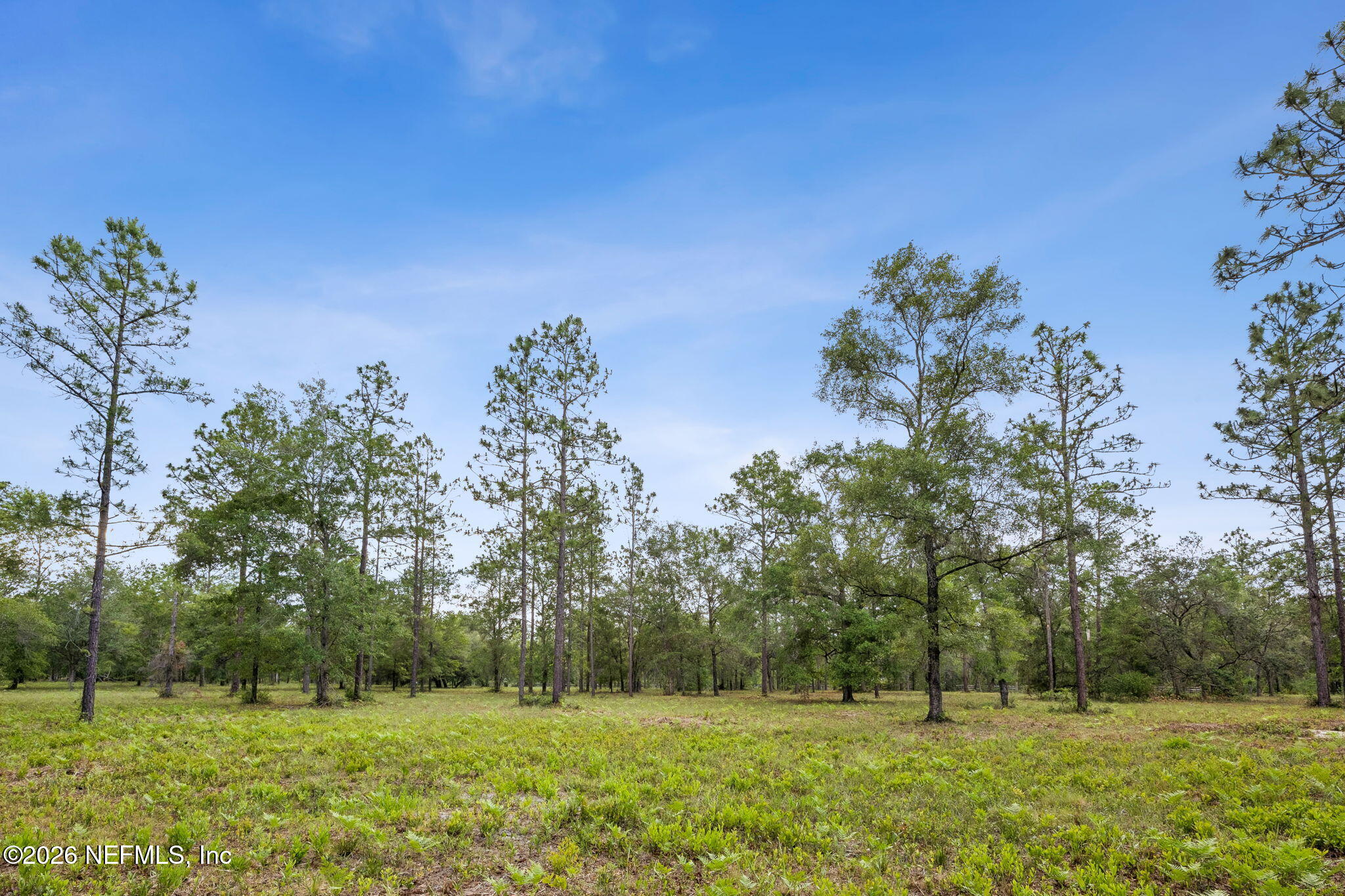 6015 Plantation Court Keystone Heights, FL 32656 - Photo 5 of 16 8-web-or-mls-6015 Plantation Ct-8