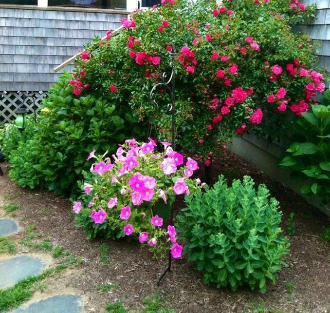 22 Blueberry Island Road Orleans, MA 02653 - Photo 24 of 29 Additional Photo