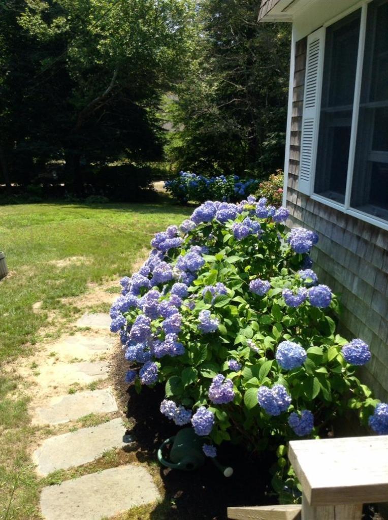 22 Blueberry Island Road Orleans, MA 02653 - Photo 6 of 29 Additional Photo