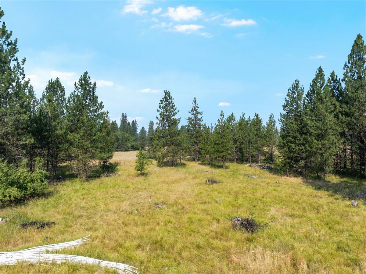 14242 Geppert Road Eagle Point, OR 97524 - Photo 46 of 54 Meadows