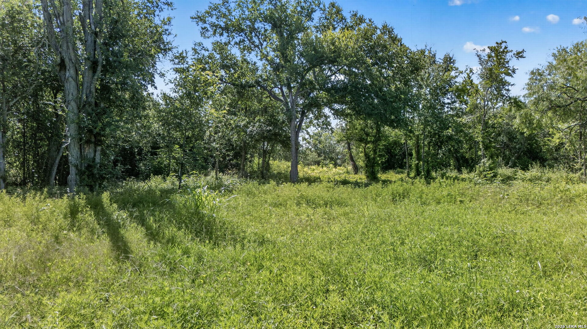 113 Buffalo Gap Seguin, TX 78155 - Photo 22 of 26 a view of outdoor space and green field