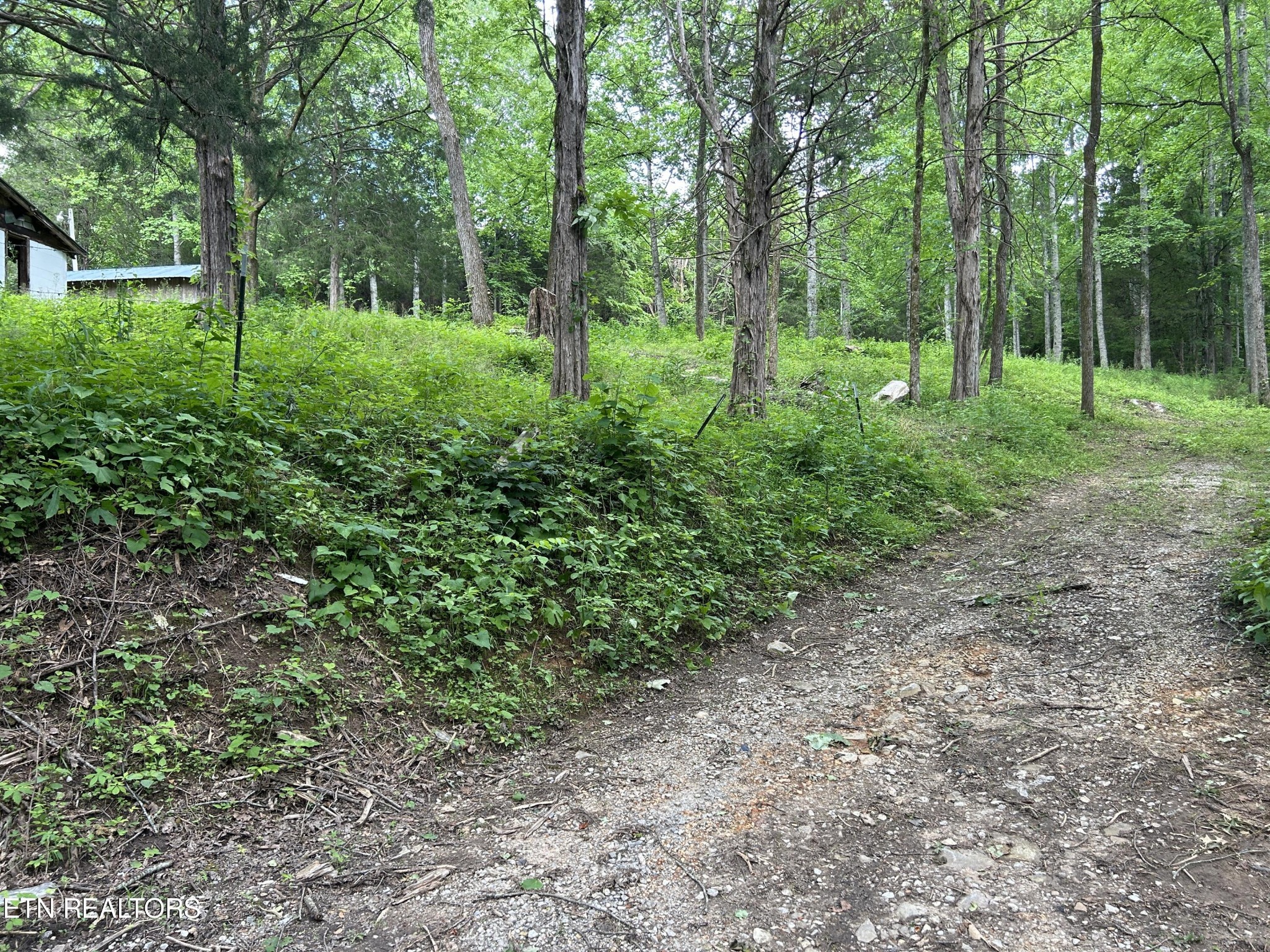 4365 Reed Creek Road Pall Mall, TN 38577 - Photo 4 of 9 Gallery Image 4