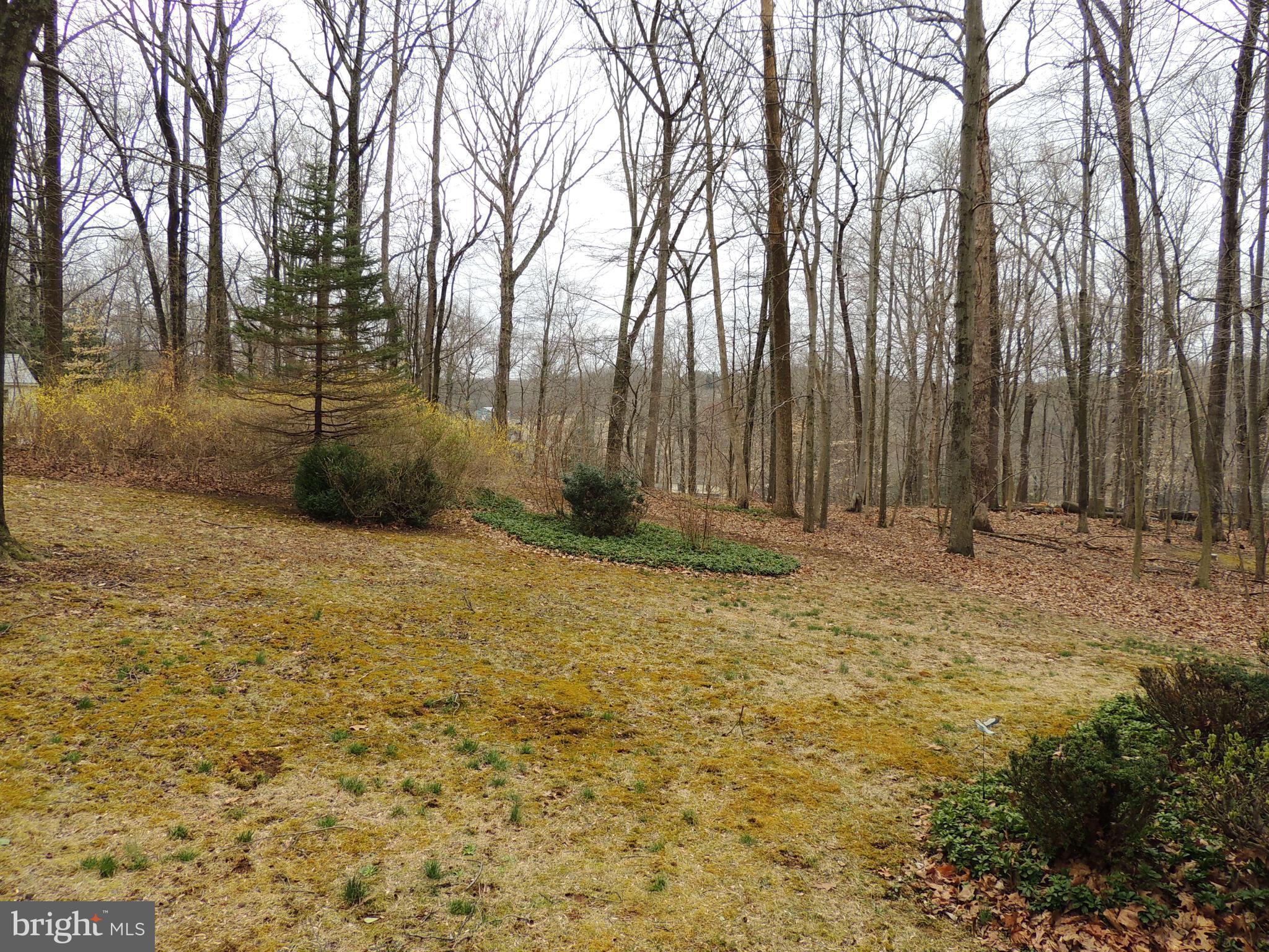 1115 Vale Road Bel Air, MD 21014 - Photo 3 of 12 a view of outdoor space with deck and tree