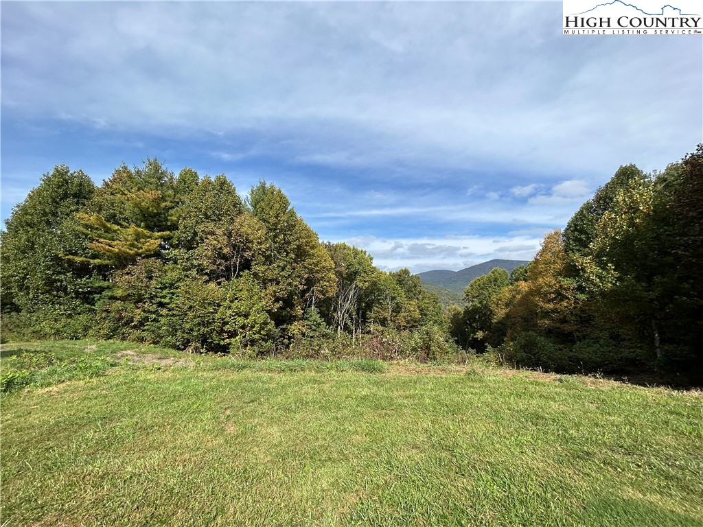 13 Solitude Lane Todd, NC 28684 - Photo 2 of 6 a view of a yard