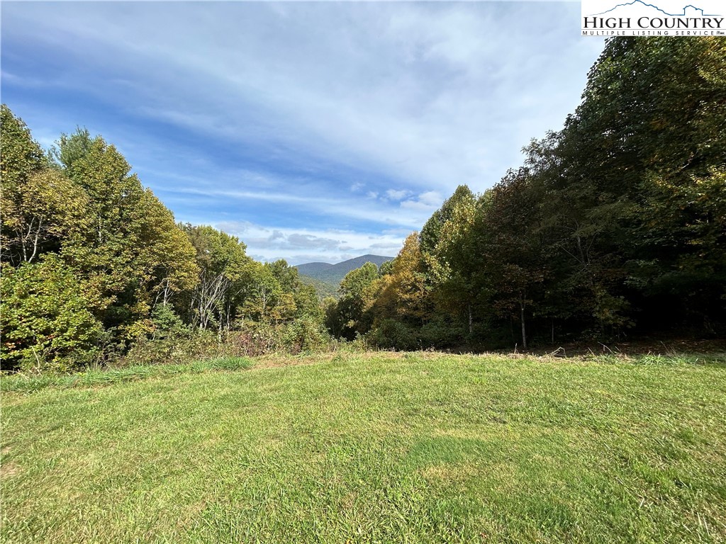 13 Solitude Lane Todd, NC 28684 - Photo 4 of 6 a view of backyard with green space