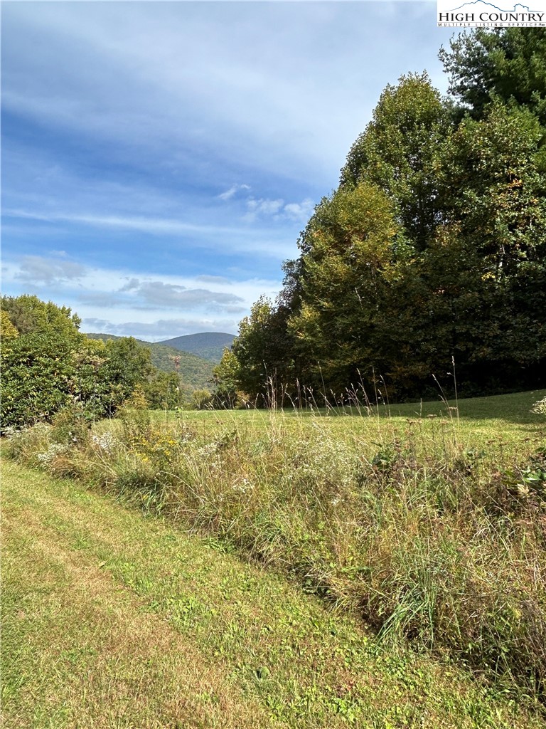 13 Solitude Lane Todd, NC 28684 - Photo 6 of 6 a view of a yard with an outdoor space