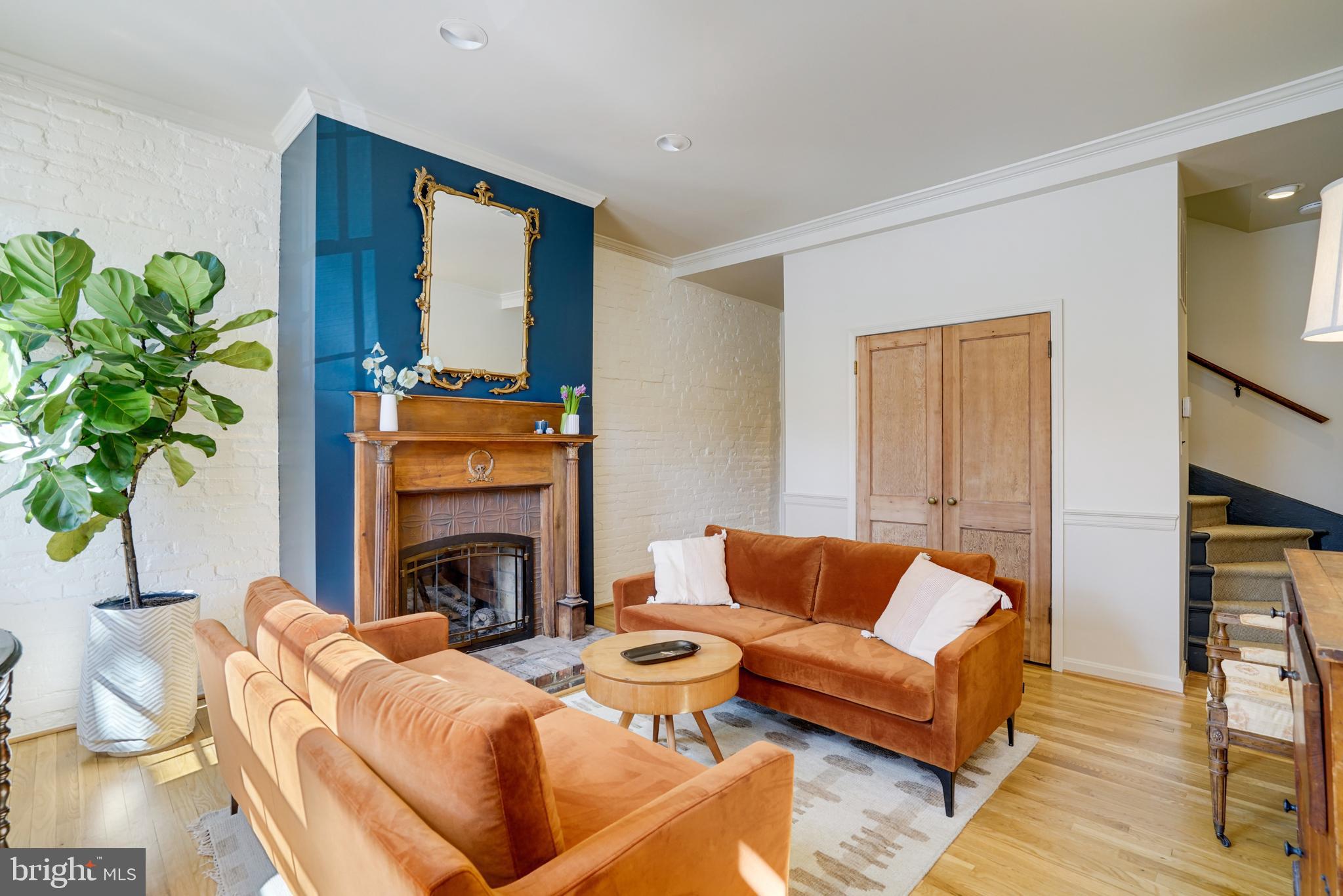817 Duke Street Alexandria, VA 22314 - Photo 5 of 39 a living room with furniture fireplace and a potted plant