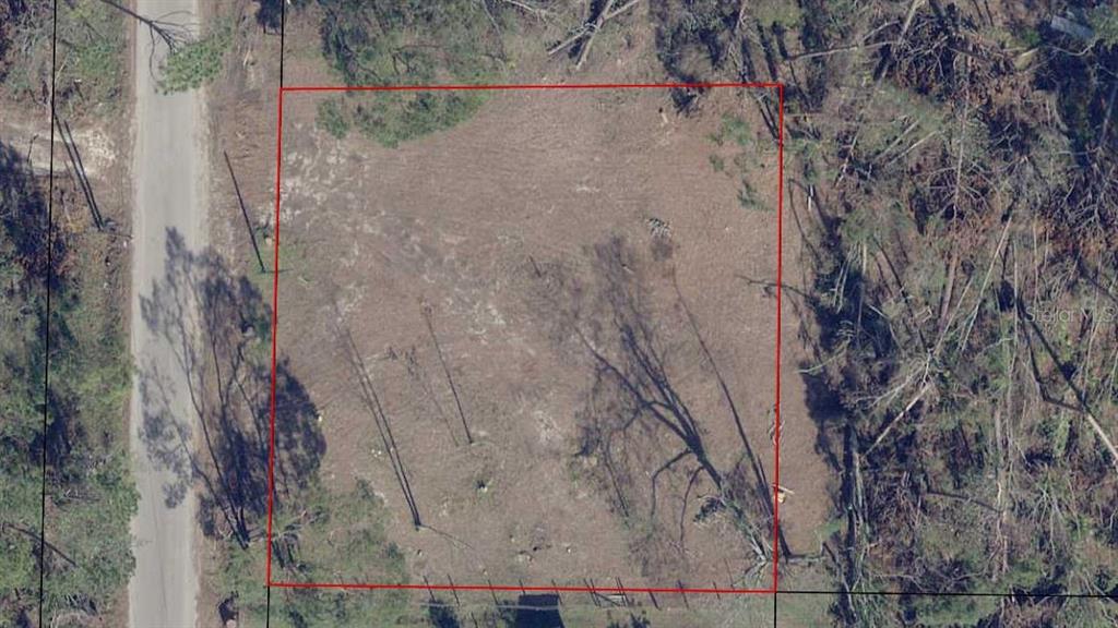 6920 Grassy Point Road Southport, FL 32409 - Photo 1 of 1 a view of a forest