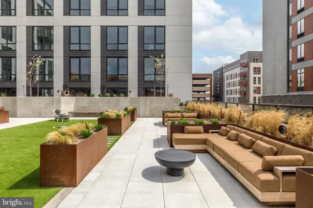 a view of a patio with couches potted plants and a big yard