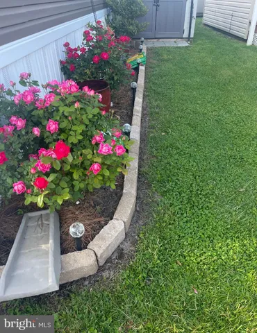 a view of a flower in a garden