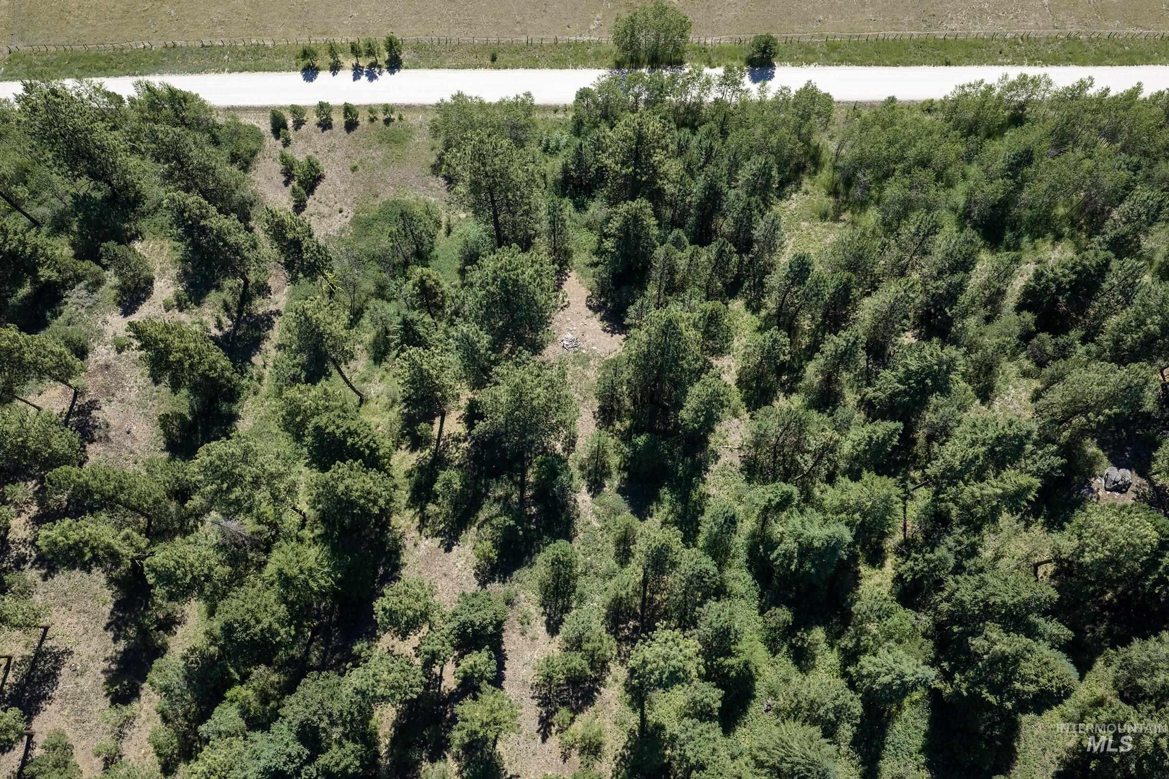 L3-b2 Rehn Loop Cascade, ID 83611 - Photo 6 of 8