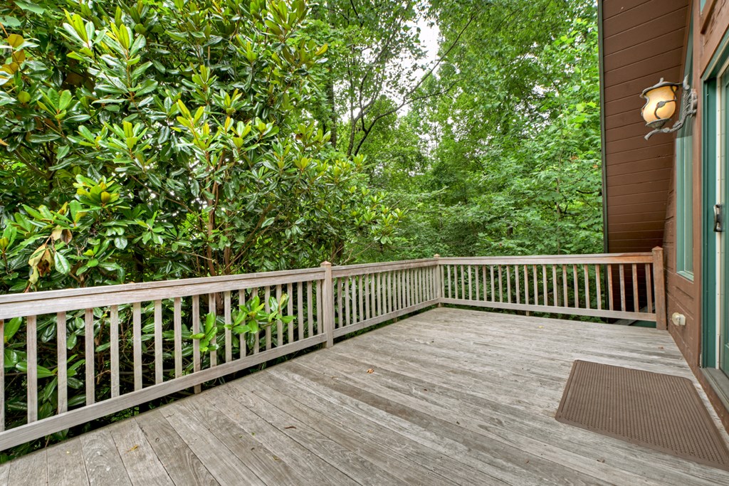 857 Lakeview Drive Blue Ridge, GA 30513 - Photo 70 of 94 Gallery Image 70