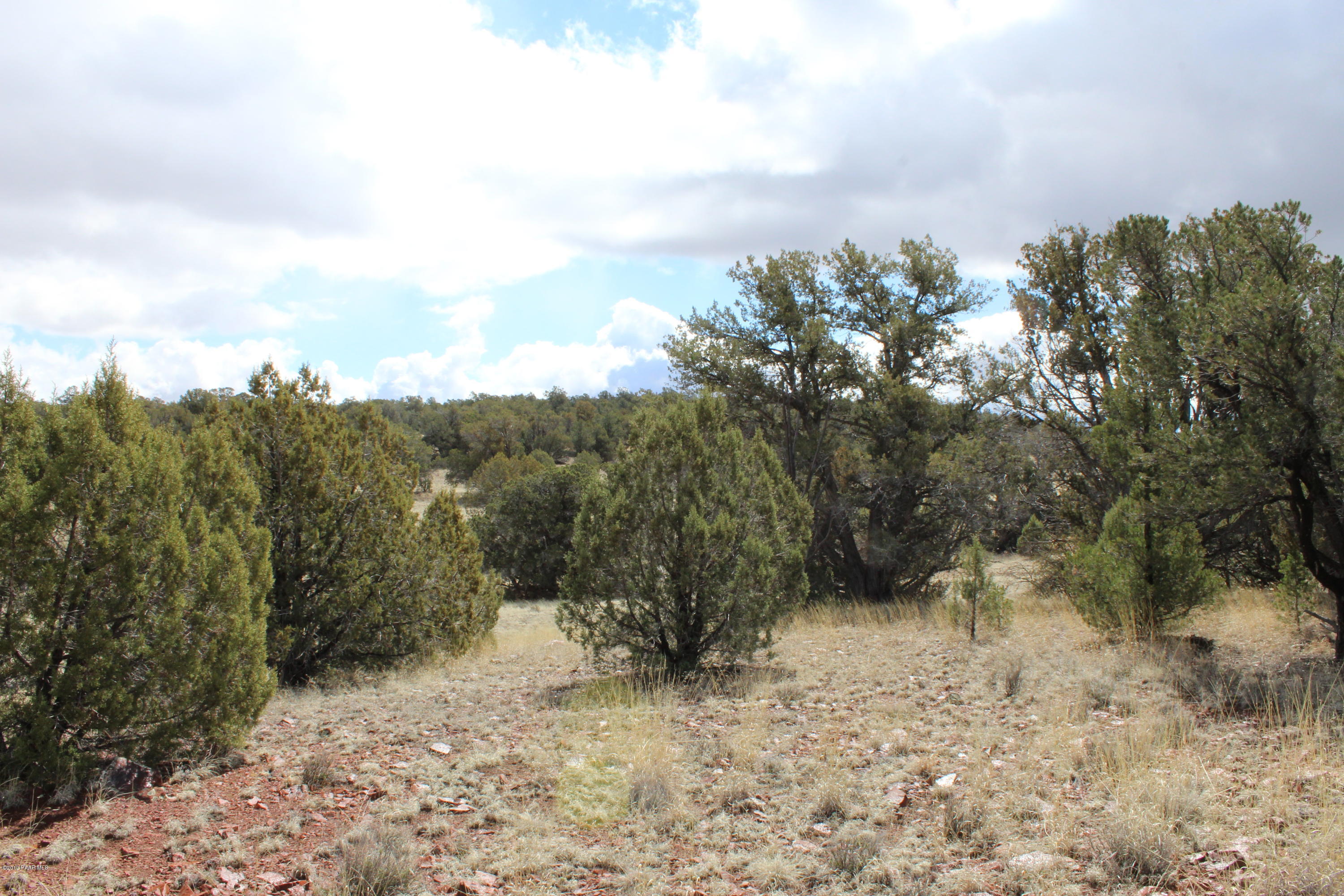 Tbd Antelope Run Road Seligman, AZ 86337 - Photo 4 of 9 a view of a yard with a tree