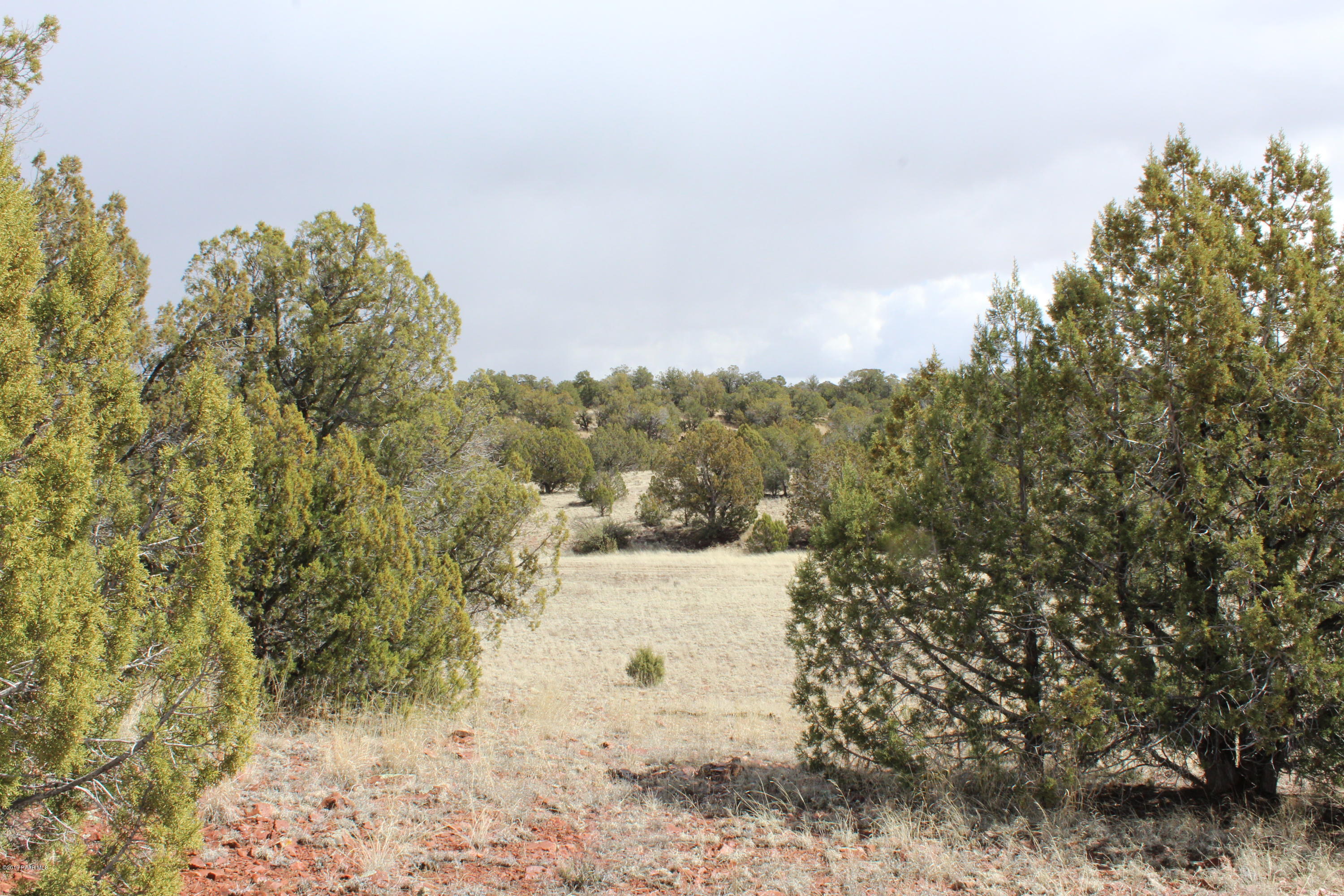 Tbd Antelope Run Road Seligman, AZ 86337 - Photo 5 of 9 a view of a yard with a tree