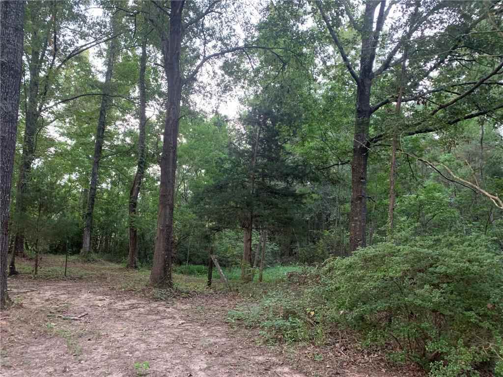 136 Lucas Road Deville, LA 71328 - Photo 3 of 18