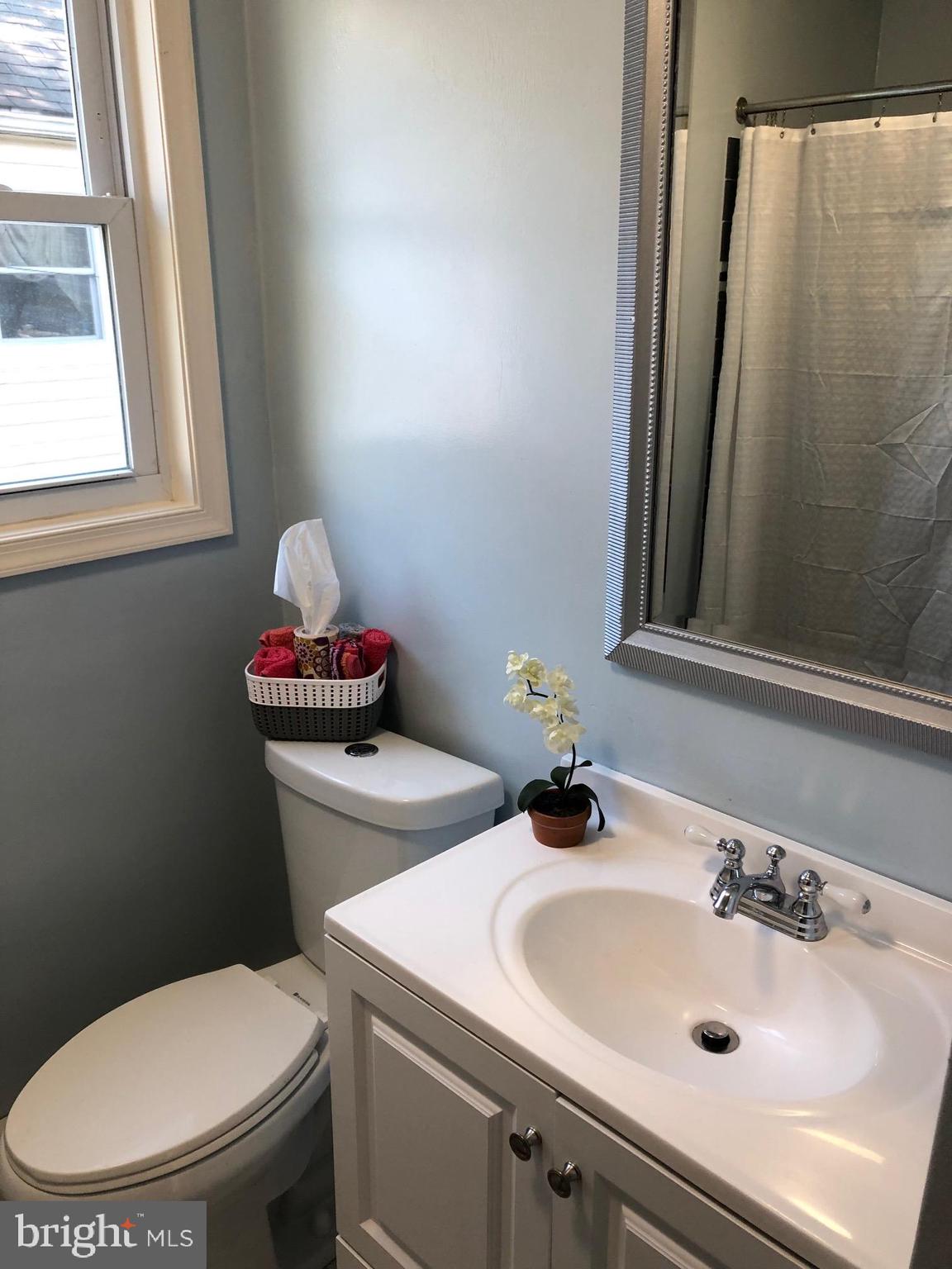 107 Cedar Road Wallingford, PA 19086 - Photo 14 of 30 Fresh and Updated Vanity & Commode