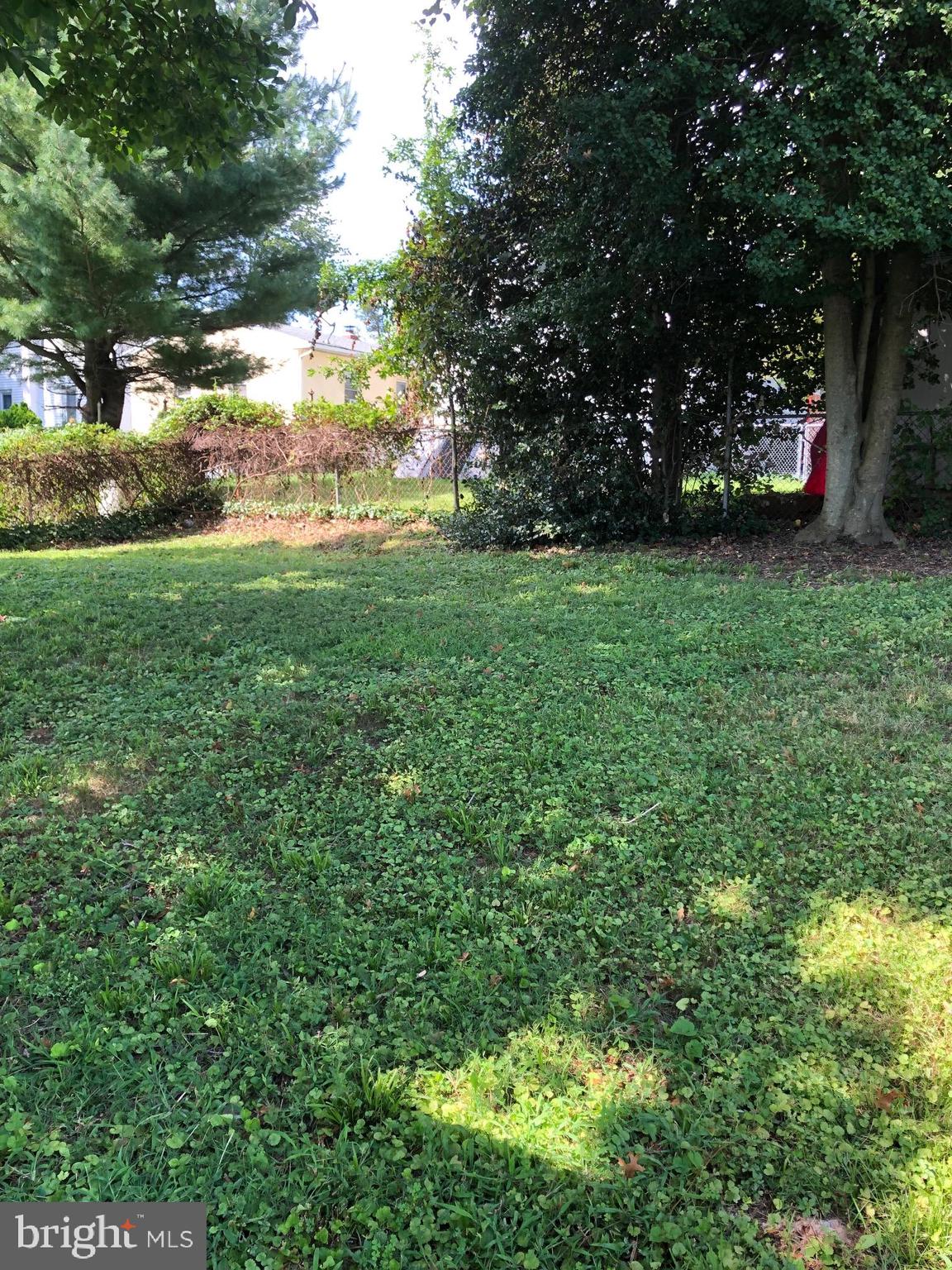107 Cedar Road Wallingford, PA 19086 - Photo 25 of 30 Furry pets would love this yard!