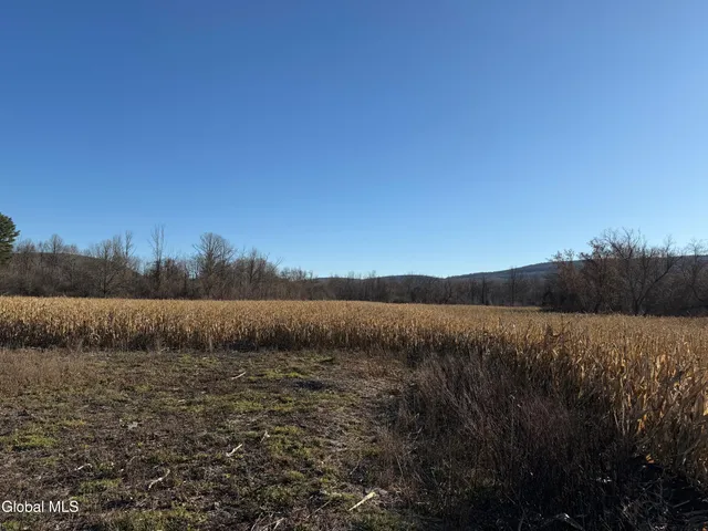 $99,900 | 2075 Switzkill Road, Berne, NY 12023