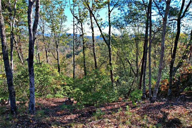 $249,500 | 110 Buttercup Way, Sunset, SC 29685