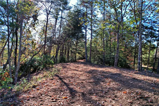 $249,500 | 110 Buttercup Way, Sunset, SC 29685