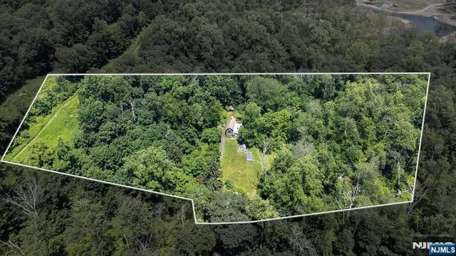 a view of a forest with a small yard