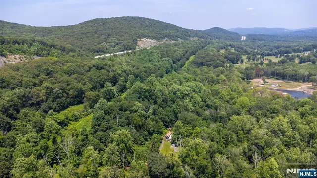 an aerial view of houses covered in trees