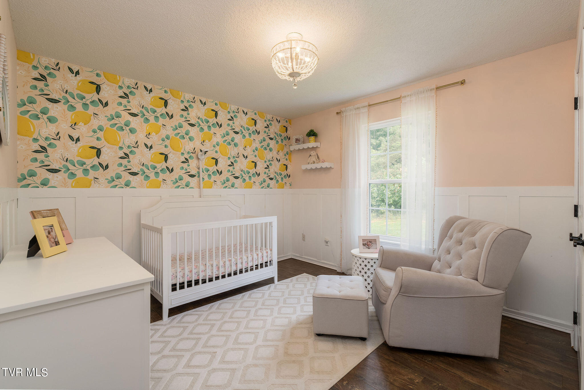 232 Roo Place Bristol, VA 24201 - Photo 33 of 50 DSC00392-Edit