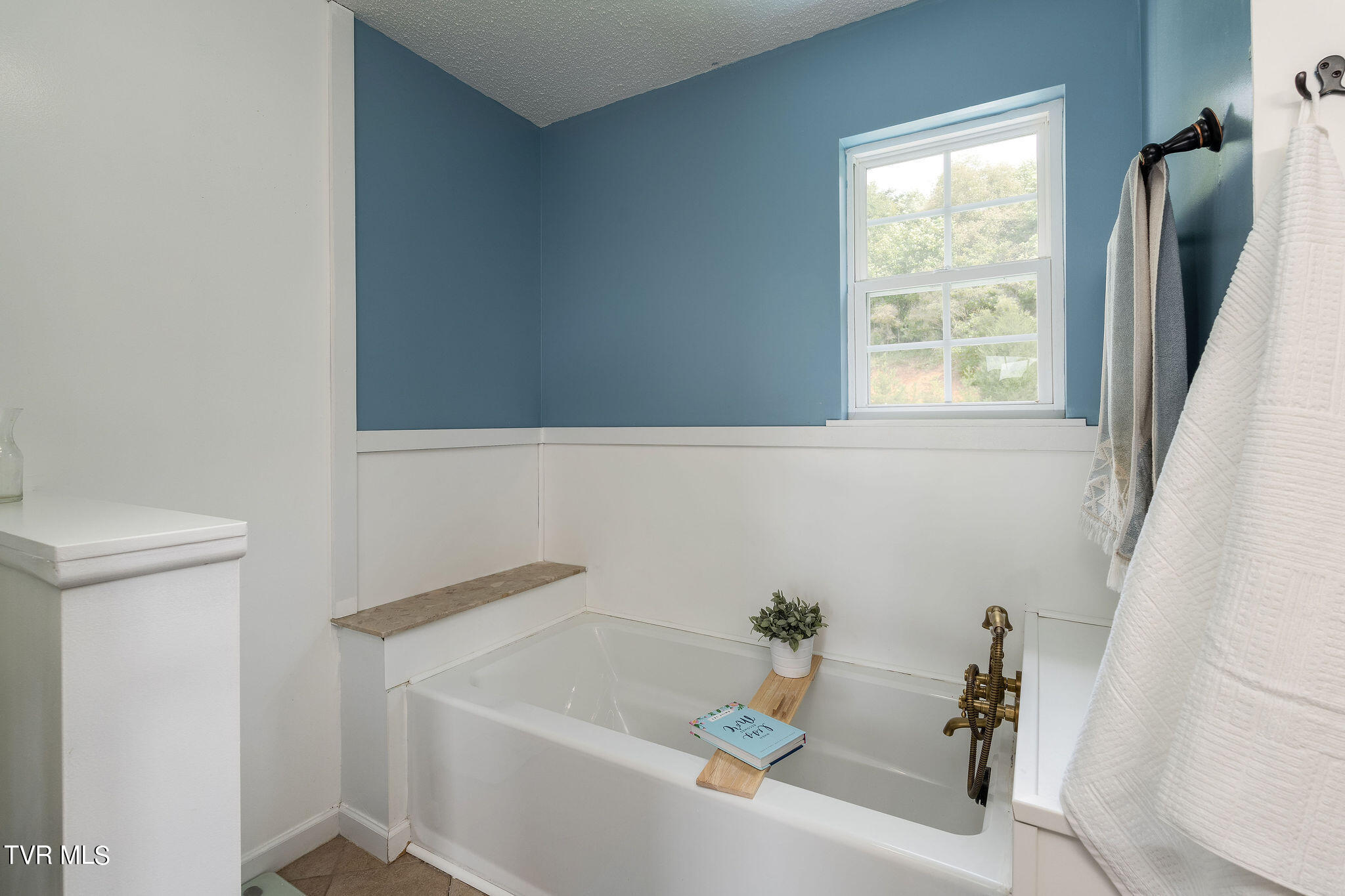 232 Roo Place Bristol, VA 24201 - Photo 40 of 50 DSC00439-Edit