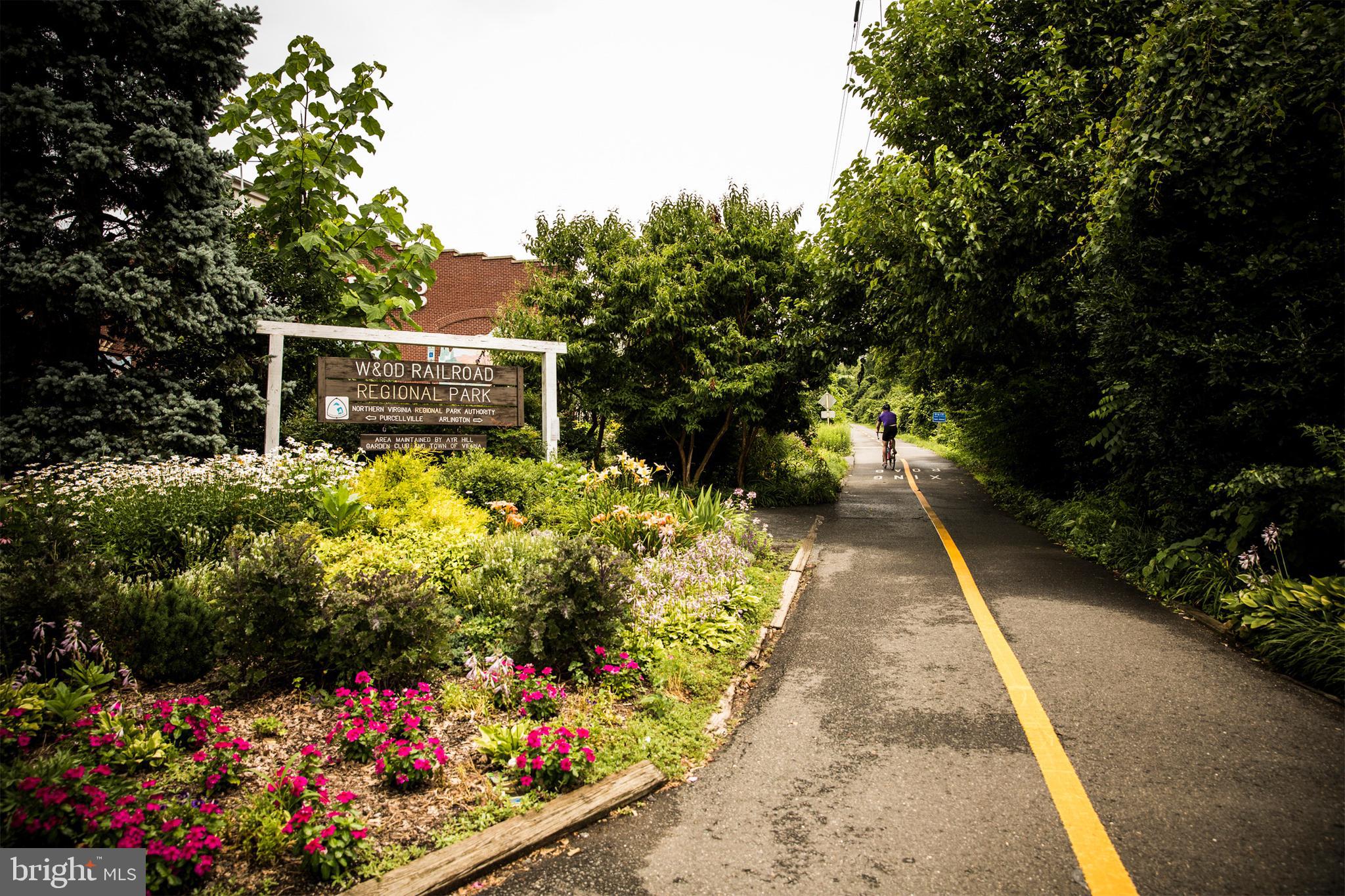 1892 Easterly Road Reston, VA 20190 - Photo 45 of 45 a view of a garden with flowers