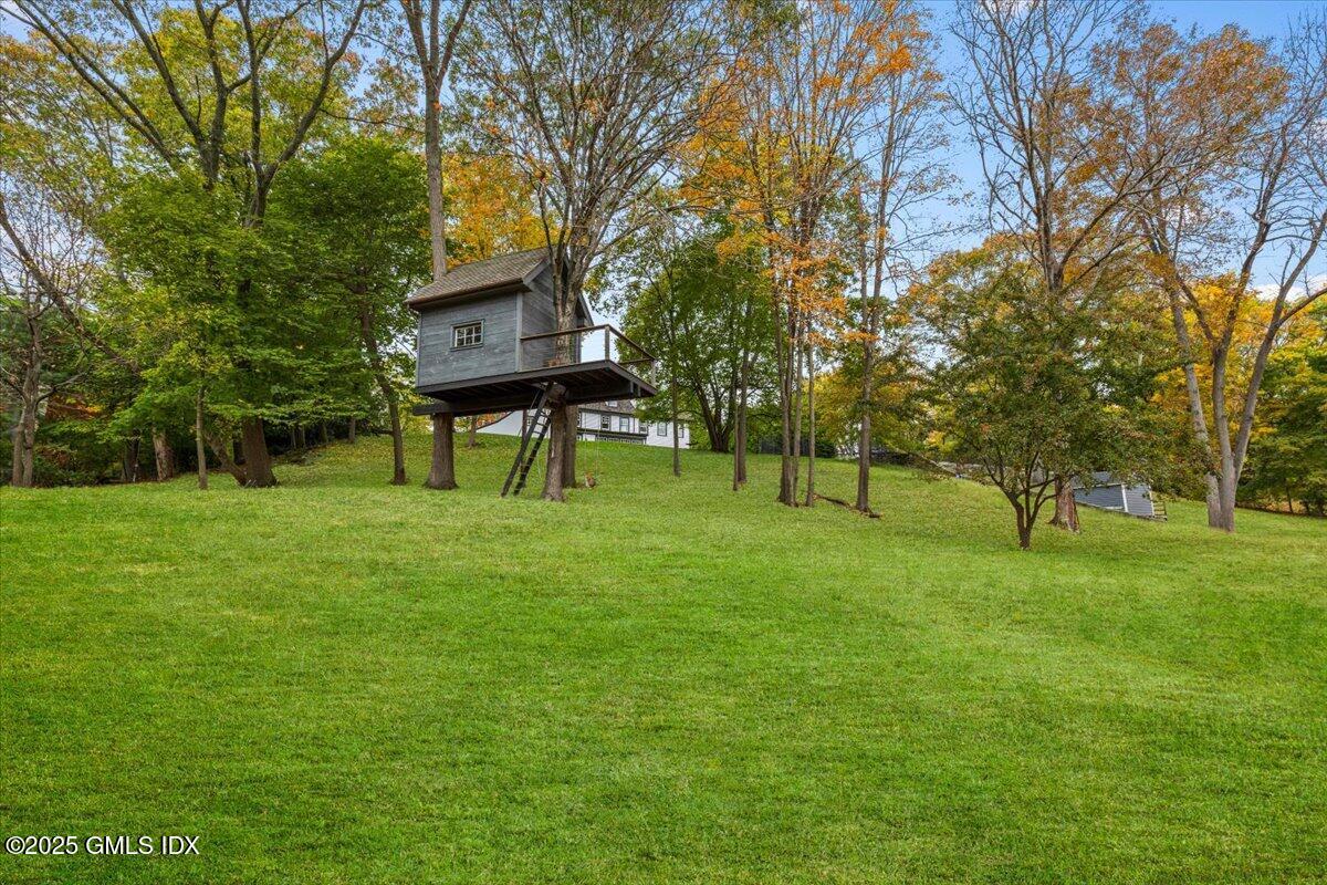 92 Hillcrest Park Road Old Greenwich, CT 06870 - Photo 37 of 43 Tree house