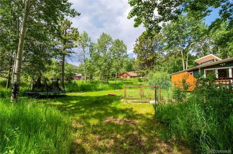 a view of a lush green forest