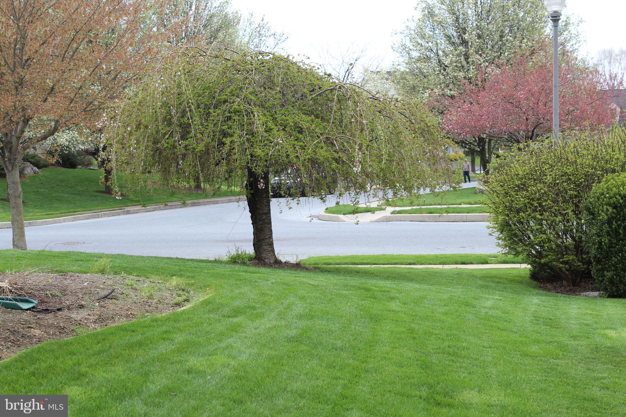 2348 Raleigh Road Hummelstown, PA 17036 - Photo 21 of 27 Side Yard