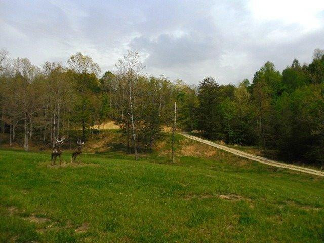 1464 Open Fork Road Morehead, KY 40351 - Photo 34 of 35 Photo 34
