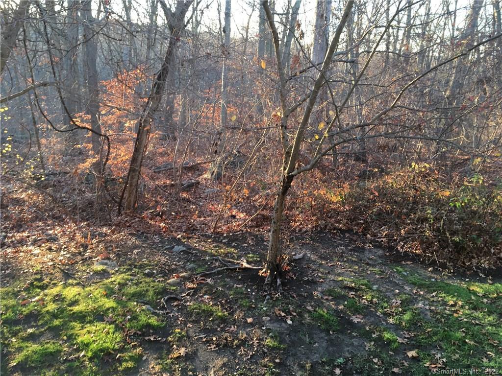 a backyard of a house with lots of green space and fog