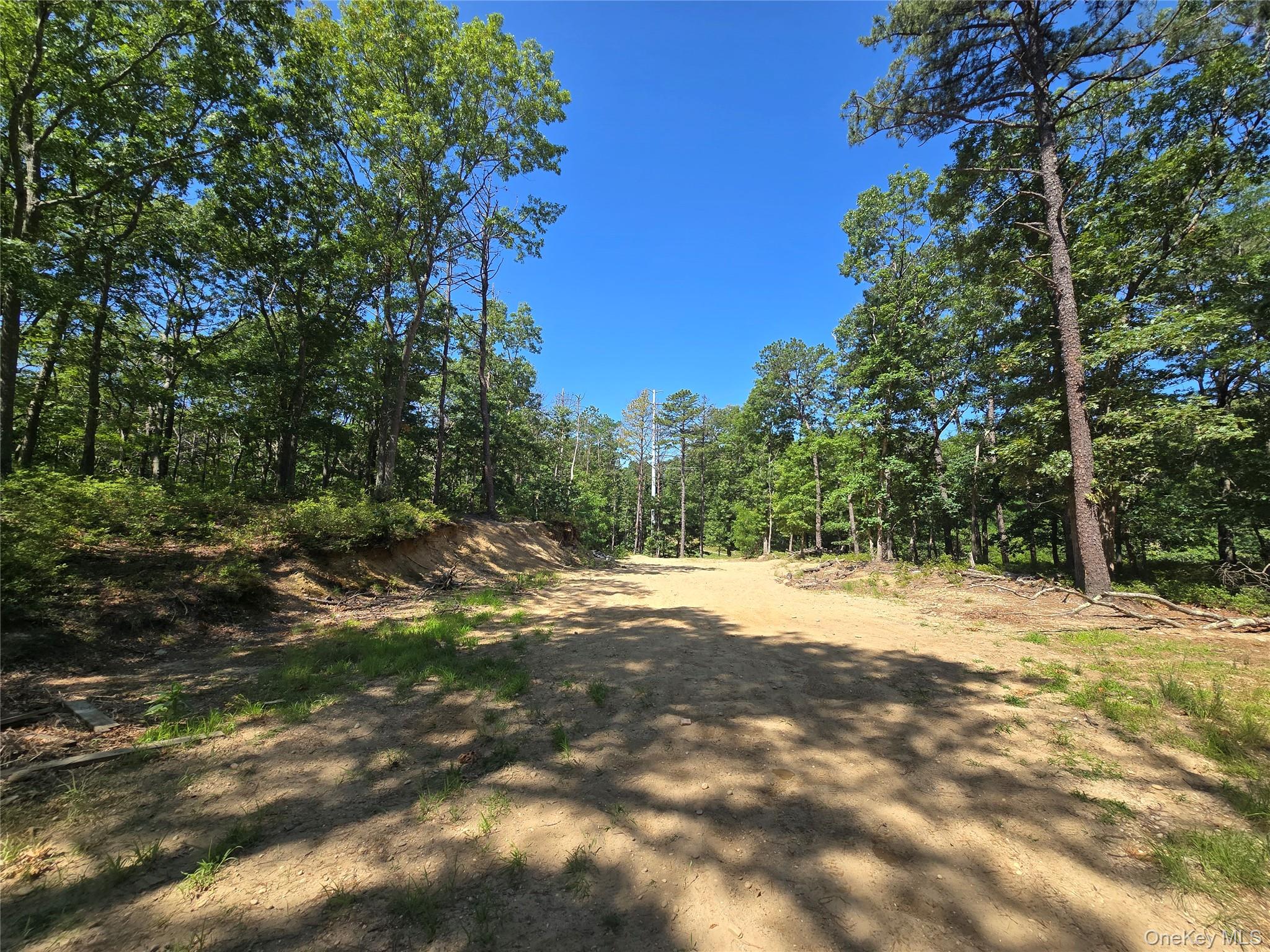 Manor Yaphank Road Manorville, NY 11949 - Photo 5 of 8 Gallery Image 5