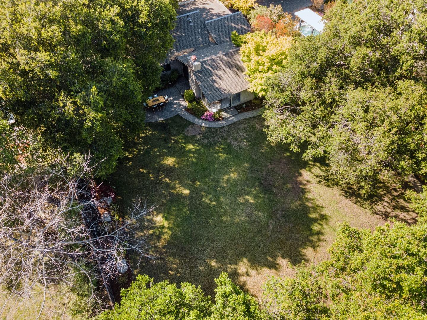 886 Berkeley Avenue Menlo Park, CA 94025 - Photo 46 of 46 a picture of tree