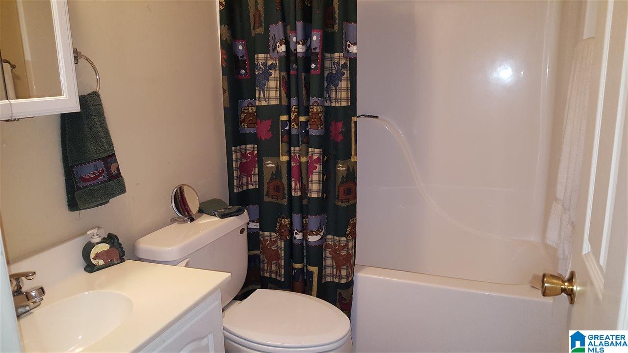 176 Ember Lane Ohatchee, AL 36271 - Photo 20 of 23