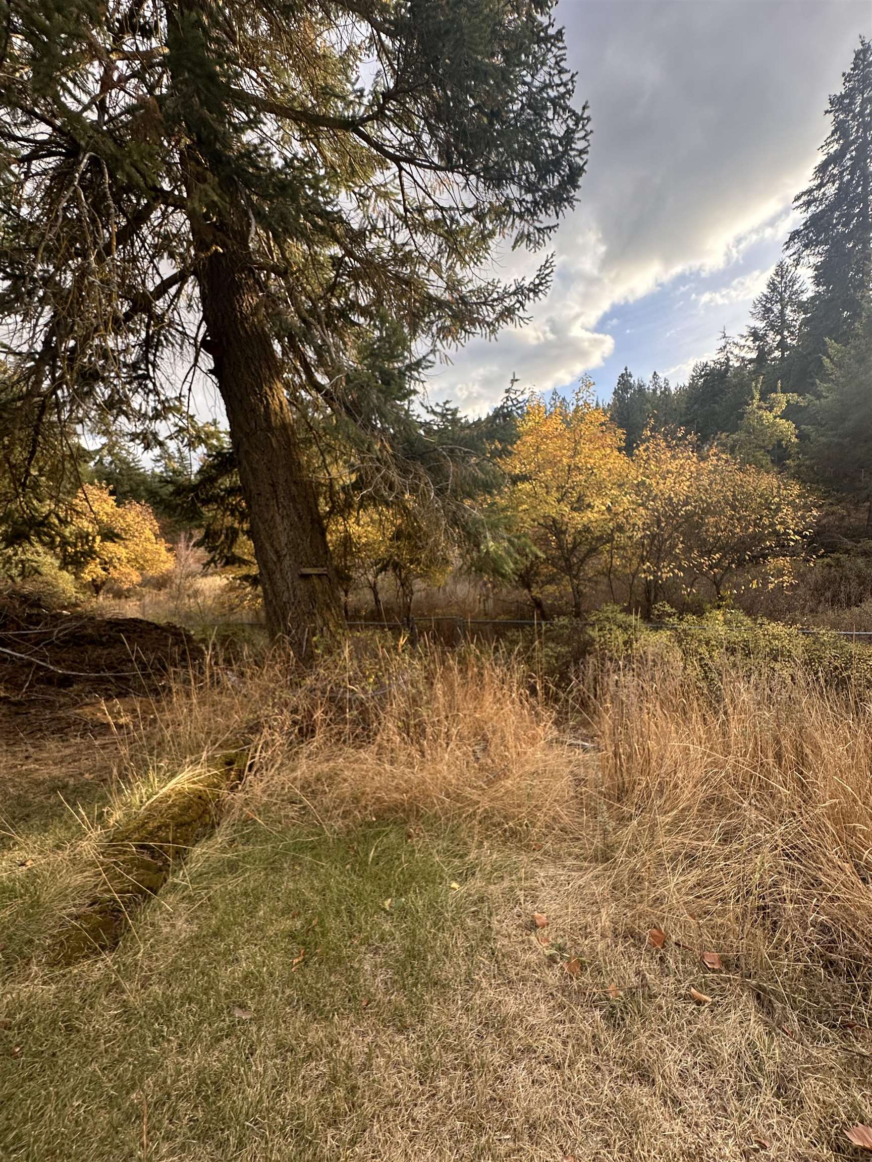 8922 East Lindgren Road Spokane, WA 99217 - Photo 31 of 43