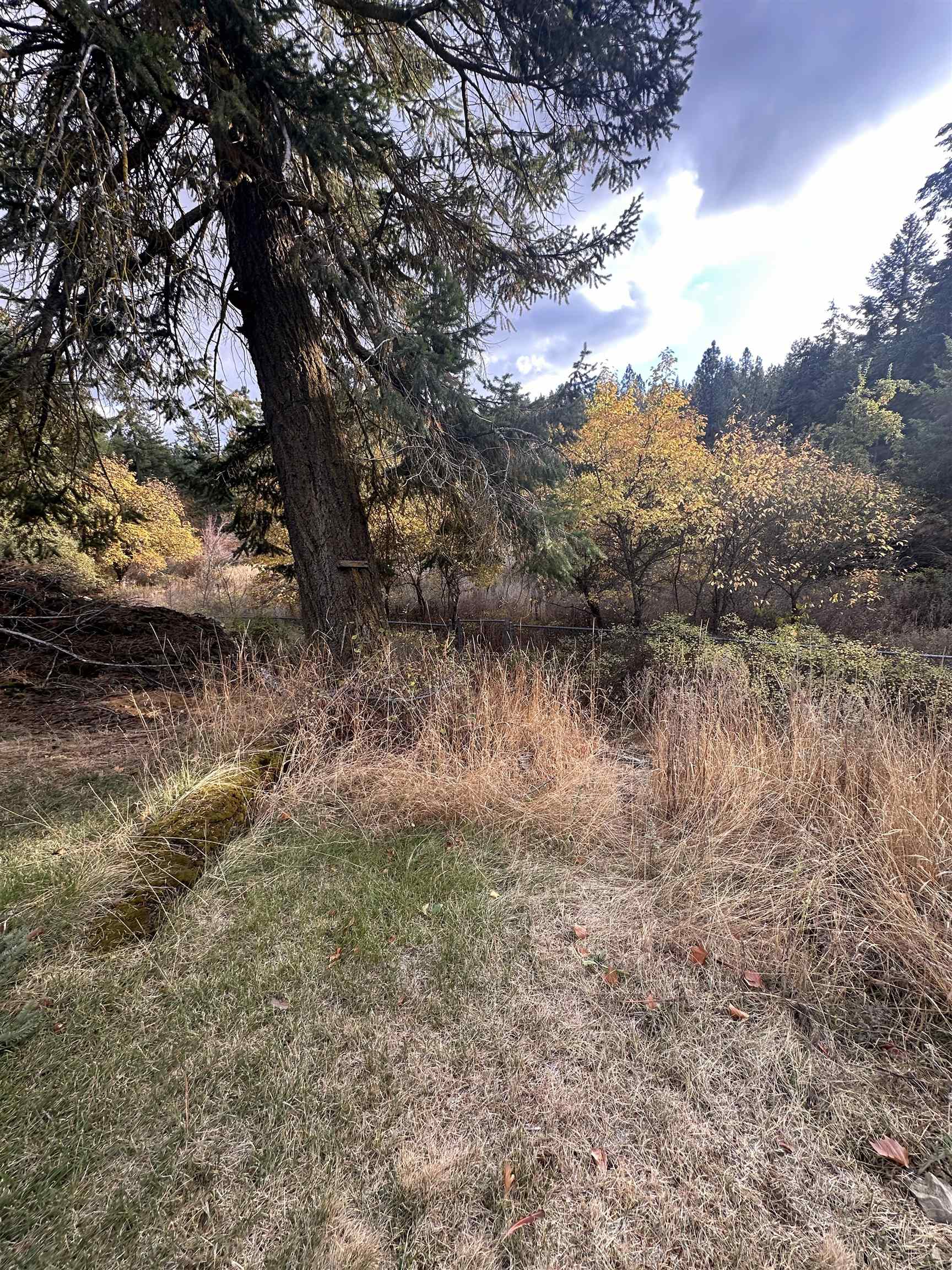 8922 East Lindgren Road Spokane, WA 99217 - Photo 32 of 43