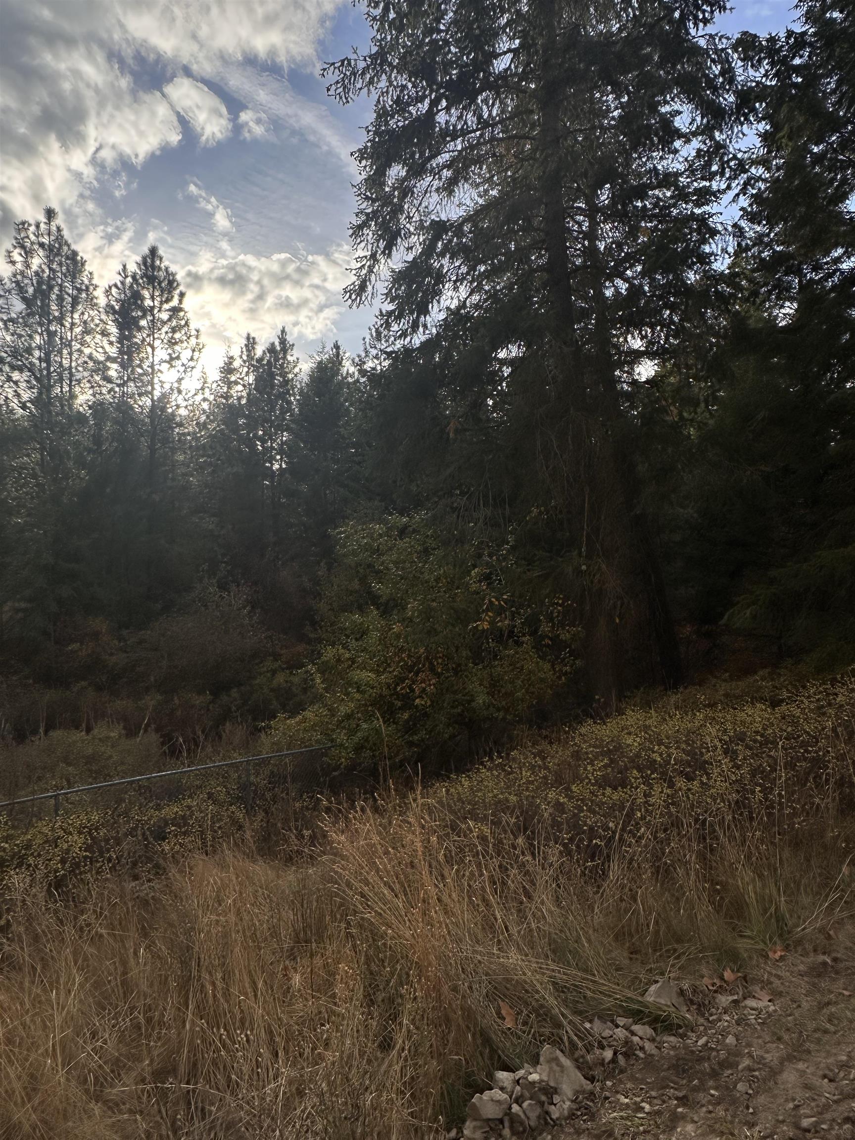 8922 East Lindgren Road Spokane, WA 99217 - Photo 34 of 43
