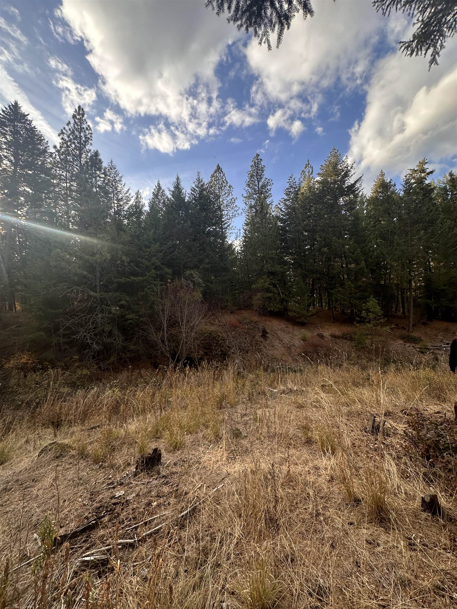 8922 East Lindgren Road Spokane, WA 99217 - Photo 35 of 43