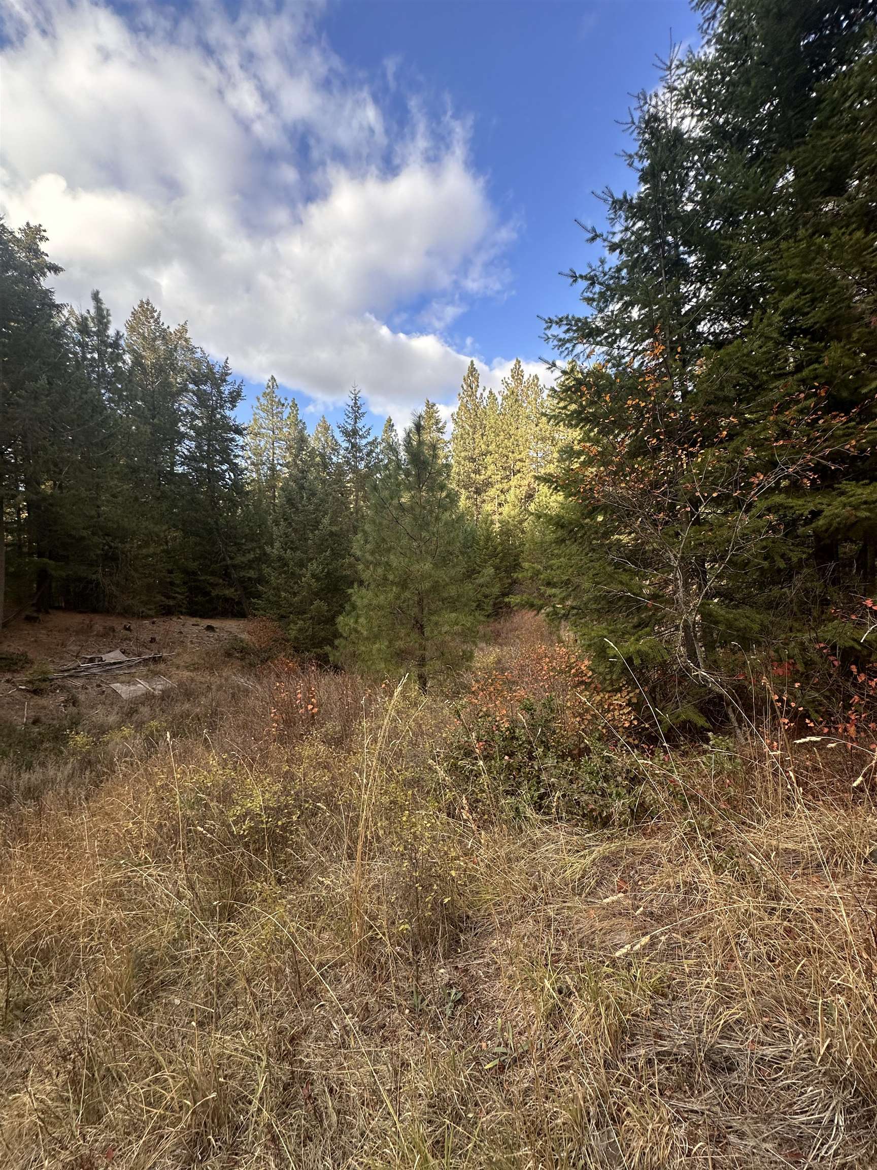 8922 East Lindgren Road Spokane, WA 99217 - Photo 38 of 43