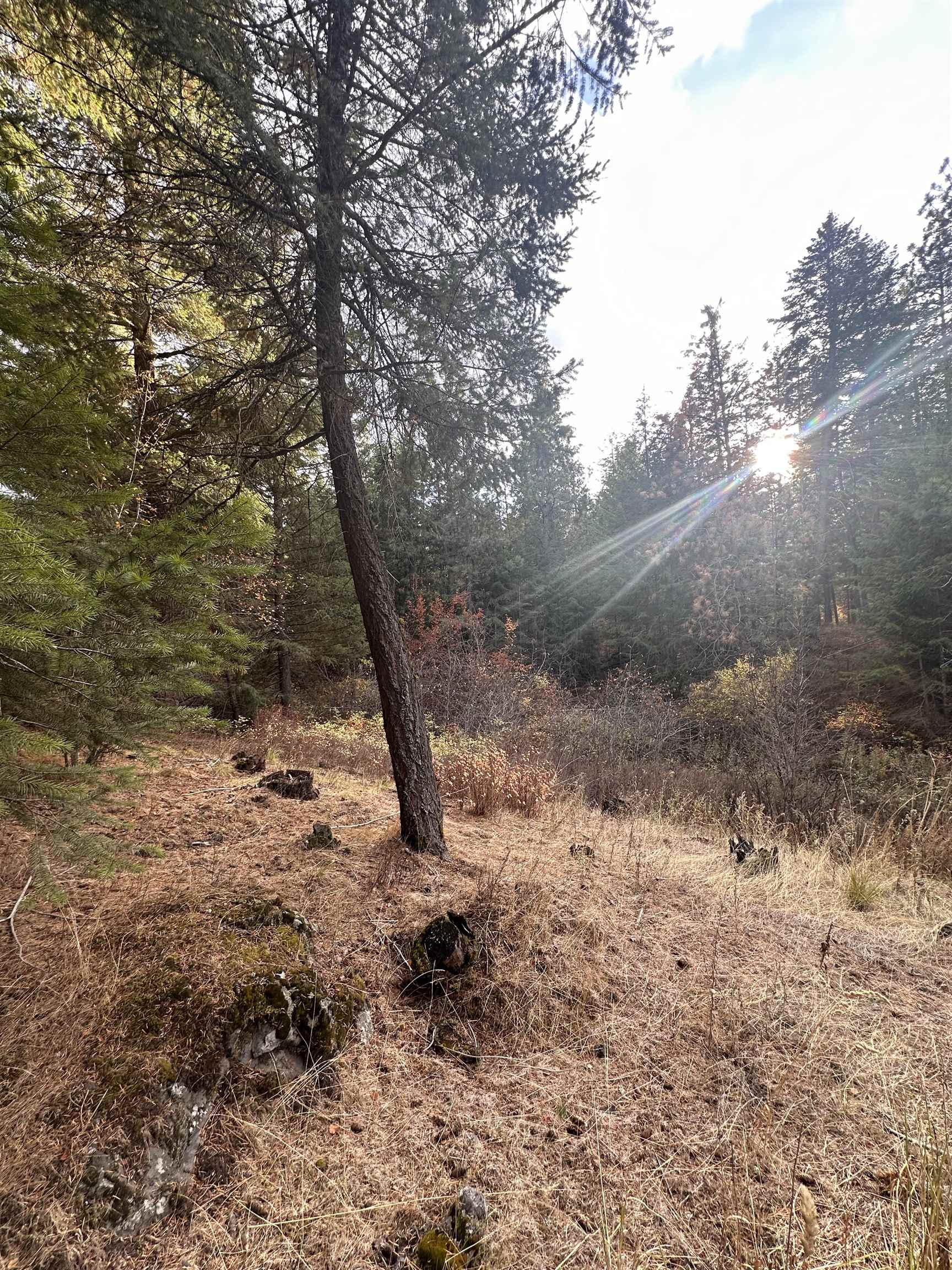 8922 East Lindgren Road Spokane, WA 99217 - Photo 40 of 43