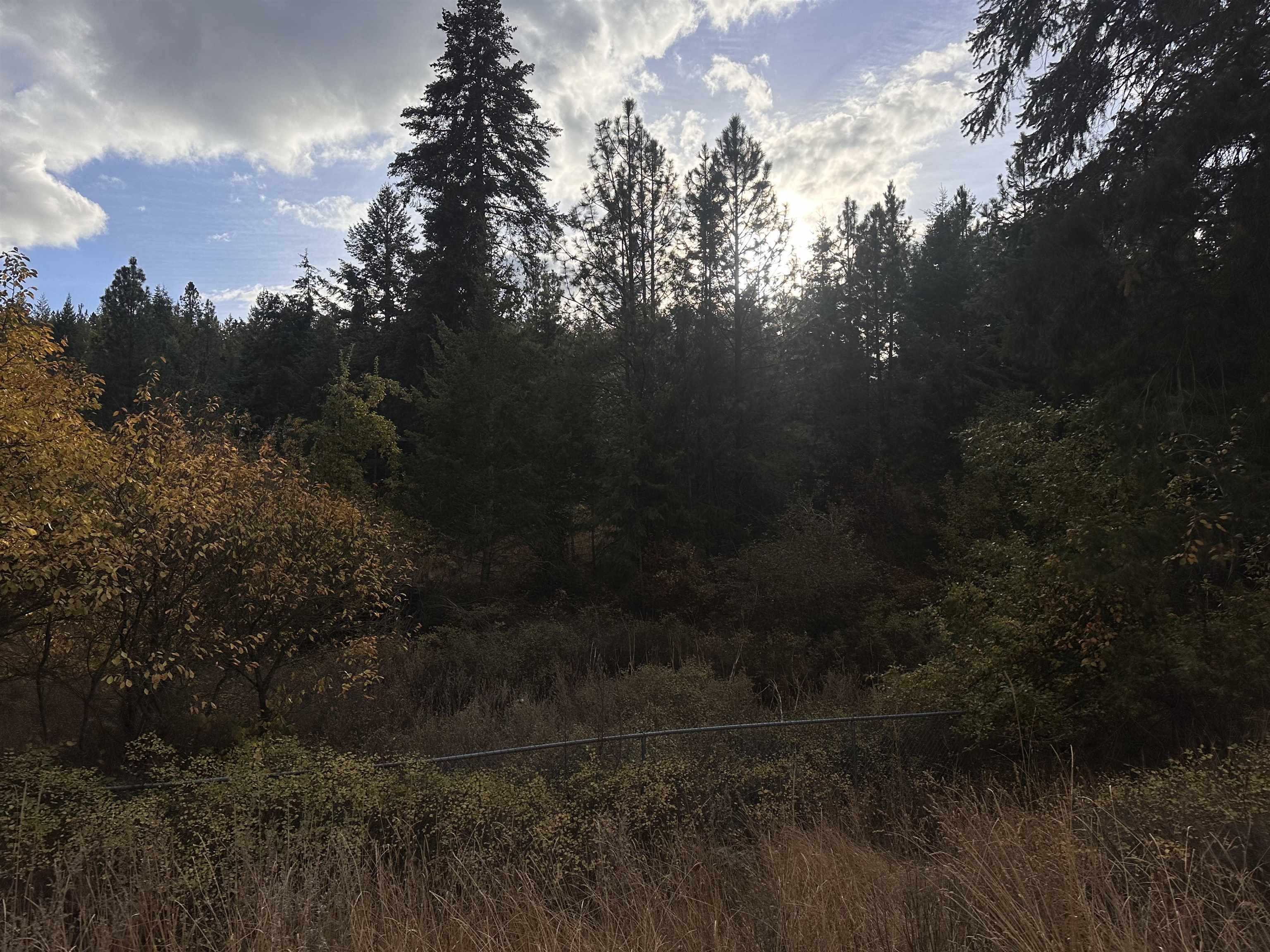 8922 East Lindgren Road Spokane, WA 99217 - Photo 41 of 43
