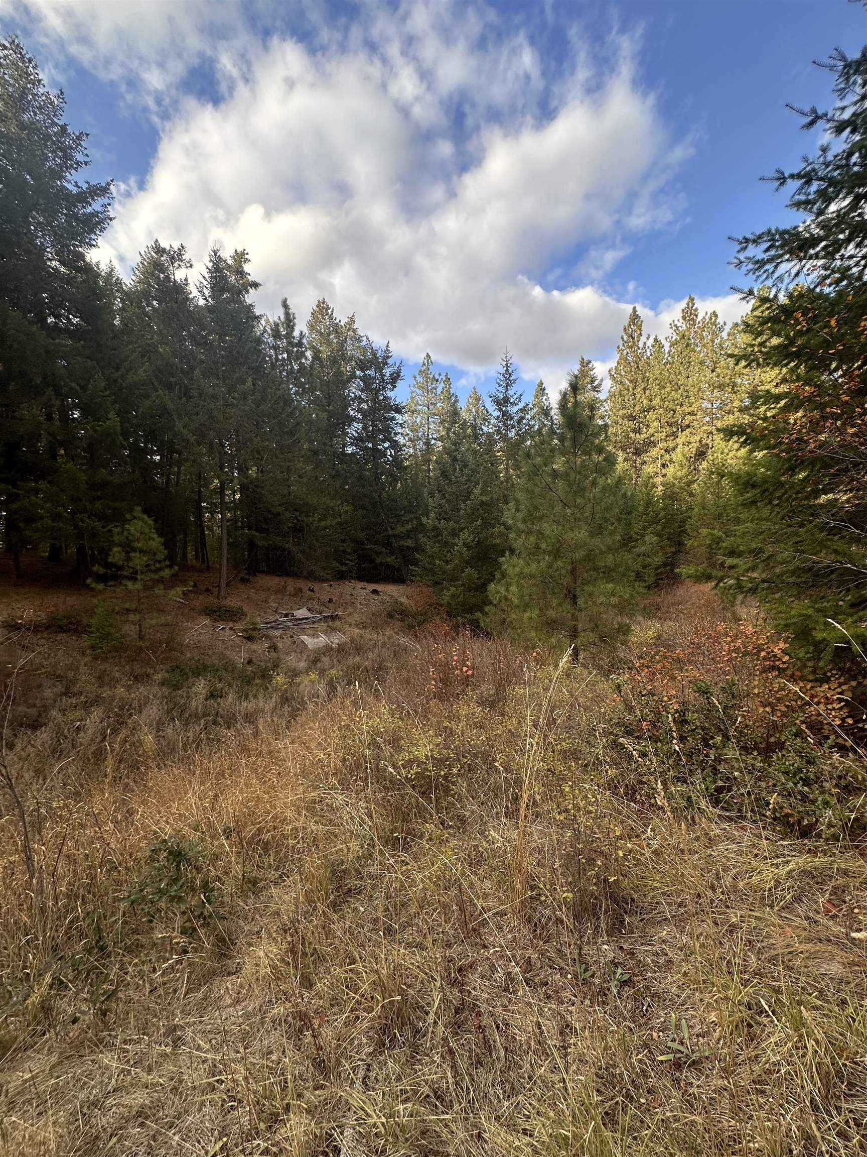 8922 East Lindgren Road Spokane, WA 99217 - Photo 42 of 43