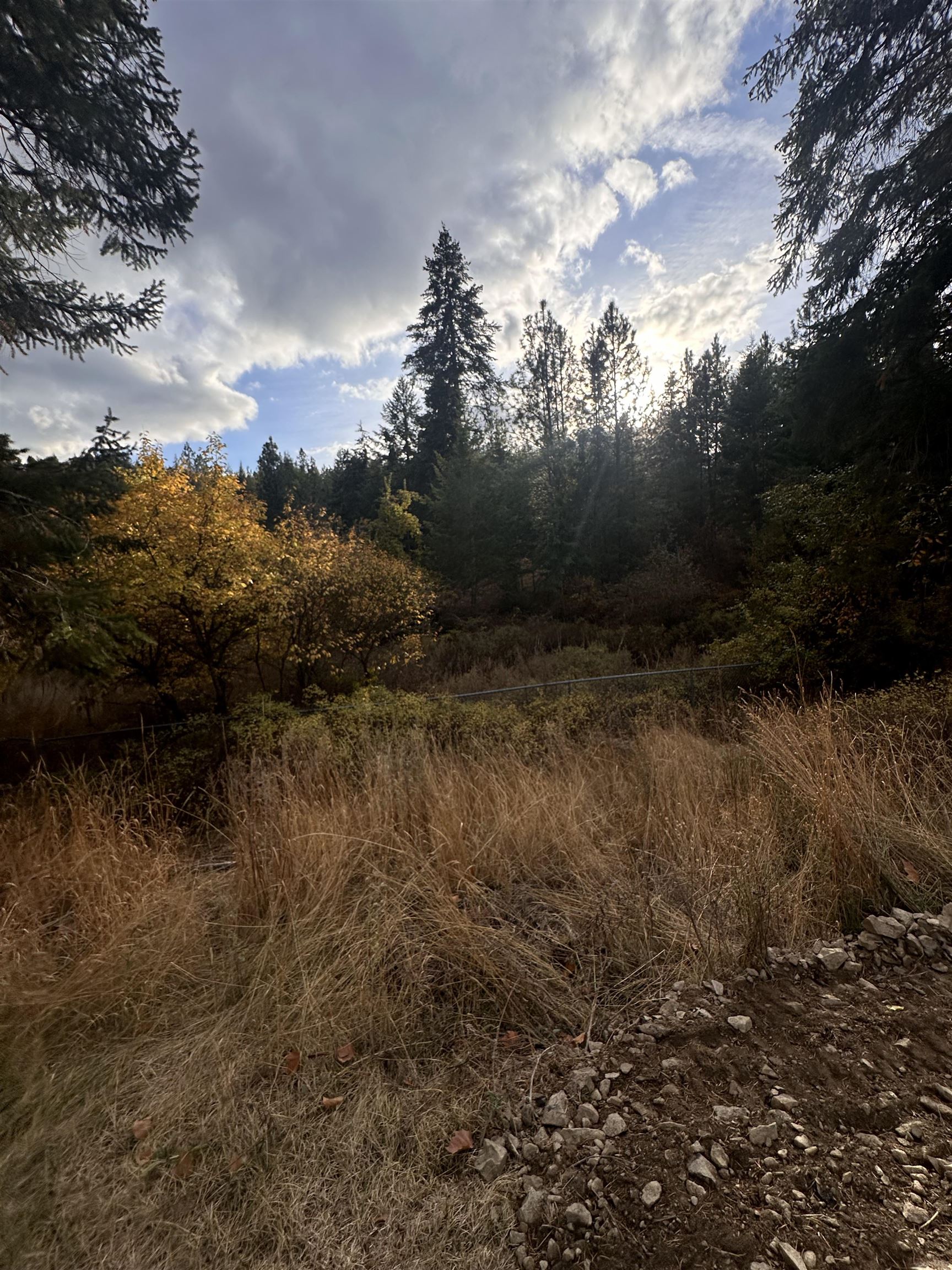 8922 East Lindgren Road Spokane, WA 99217 - Photo 43 of 43