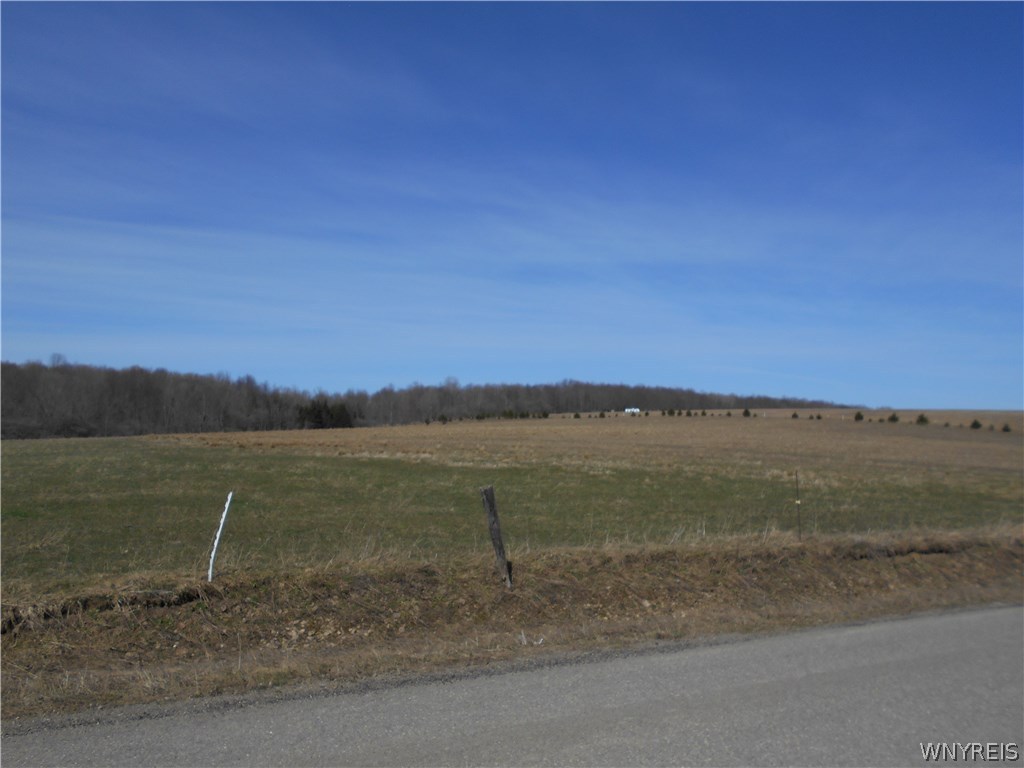 0 Machias Junctin Road Machias, NY 14101 - Photo 1 of 1